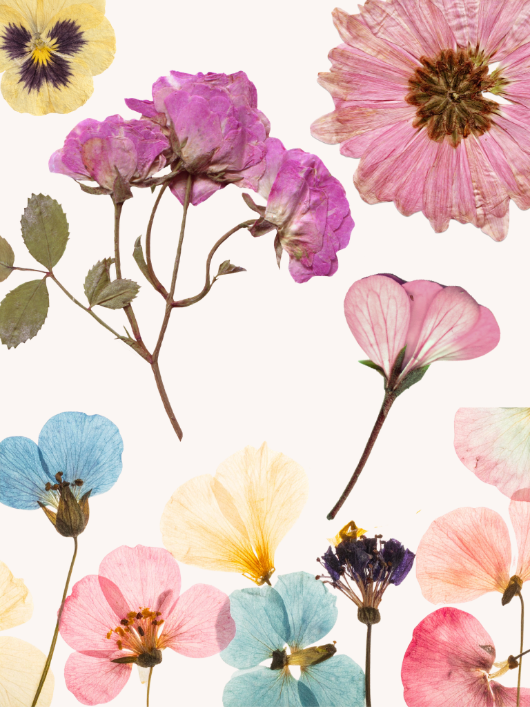 FlowerPressing.png
